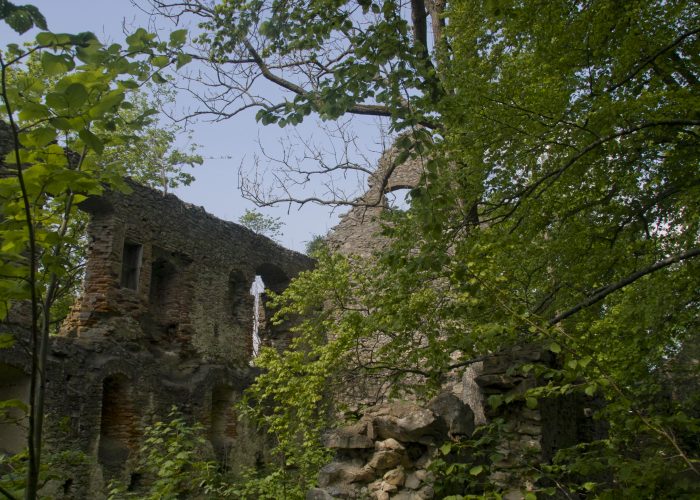 Pfadi Wochenende 2014: Burgruine im Wald